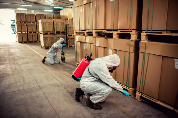 Best Bed Bug Extermination  in New River, AZ