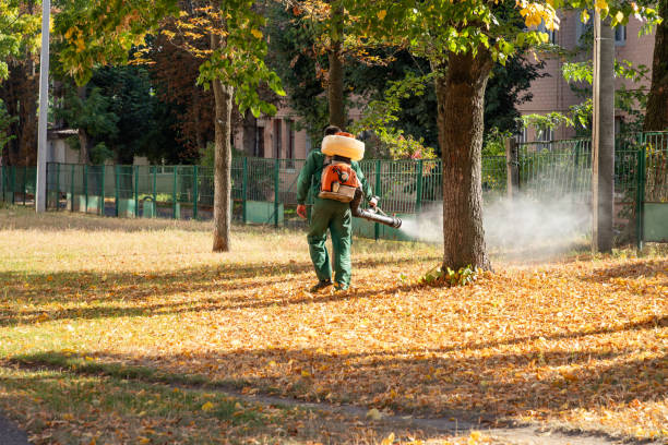 Best Pest Removal Services  in New River, AZ